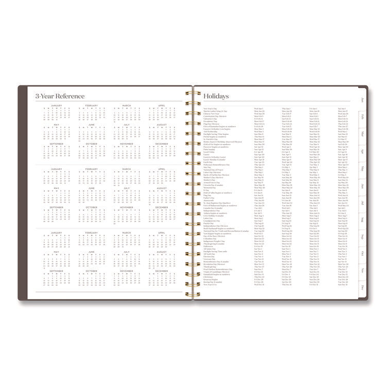 Workstyle Weekly/Monthly Planner, 11 x 9.38, Brown/Gold Cover, 12-Month (Jan to Dec): 2025