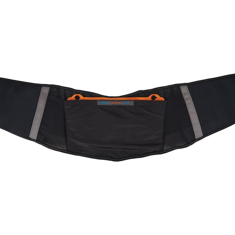 Proflex 1675 Back Support Brace with Cooling/Warming Pack, Small, 25" to 30" Waist, Black