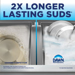 Manual Pot and Pan Dish Detergent with Pump, Original Scent, (1) Pump and (2) 1 gal Bottles/Carton