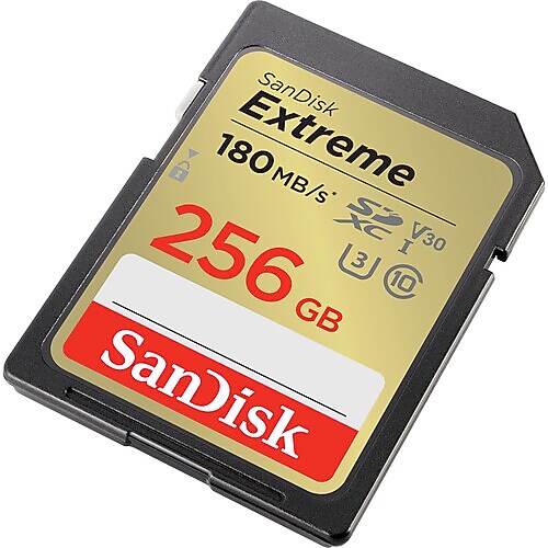 SanDisk Extreme 256GB SDHC Memory Card, Class 10, U3, V30, (SDSDXVV-256G-ANCIN)