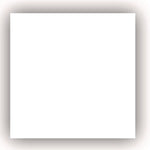 Rust-Oleum Stops Rust Protective Enamel Spray Paint, Flat White, 12 oz., 6/Carton (376856)