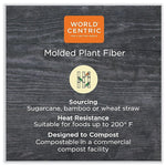World Centric Fiber Hinged Containers, 9.2" x 9.1" x 3.2", Natural, Paper, 300/Carton (WORTOSCU9LFP)