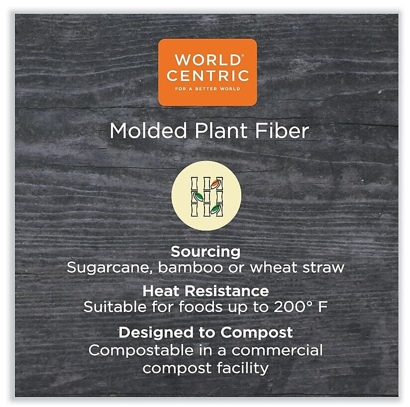 World Centric Fiber Hinged Containers, 9.2" x 9.1" x 3.2", Natural, Paper, 300/Carton (WORTOSCU9LFP)