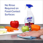 PURELL Foodservice Surface Sanitizer Refill, 1 Gallon (4341-04)