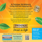 Twinings Lemon & Ginger Herbal Tea, Keurig® K-Cup® Pods, 24/Box (TNA89556)