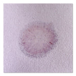 Acid Neutralizer Pads, 11" x 12", 10/Pack (ACIDPAD10)