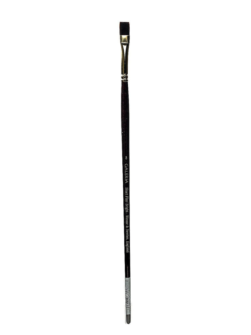 Winsor And Newton Galeria Long Handled Brushes, 8 Flat/Bright (65637)