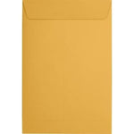 JAM Paper Catalog Envelope 6" x 9", Brown Kraft, 50/Pack (1693-50)