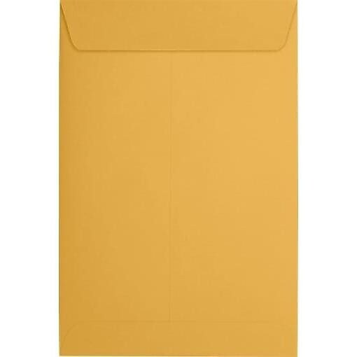 JAM Paper Catalog Envelope 6" x 9", Brown Kraft, 50/Pack (1693-50)