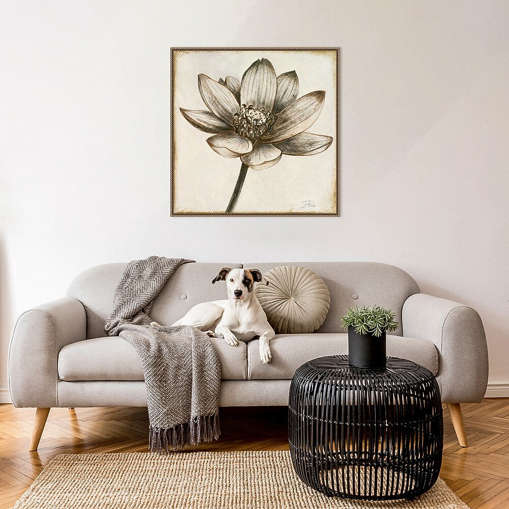 Amanti Art Sepia Lotus Blossom II by Patricia Pinto Framed Canvas Wall Art Print, 30" x 30" (A42678299854)