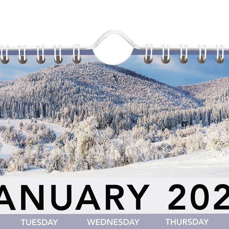 2026 AT-A-GLANCE Landscape 12" x 12" Monthly Wall Calendar (88200-26)