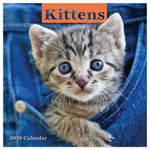 2026 TF Publishing Kittens Mini 7" x 7" Monthly Wall Calendar, Multicolor (26-2002)