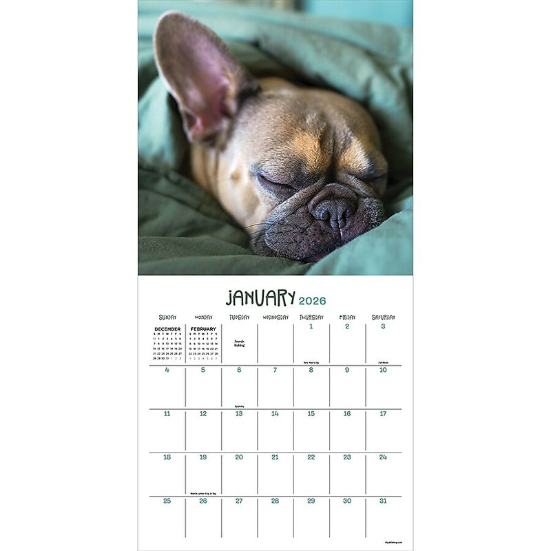 2026 TF Publishing Dog Dreams 12" x 12" Monthly Wall Calendar (26-1010)