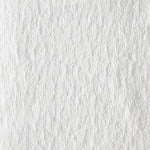 Brawny Professional D300 Cellulose Cleaning Wipers, 16" x 9.25", White, 110 Wipers/Box (20075)