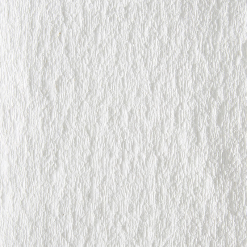 Brawny Professional D300 Cellulose Cleaning Wipers, 16" x 9.25", White, 110 Wipers/Box (20075)