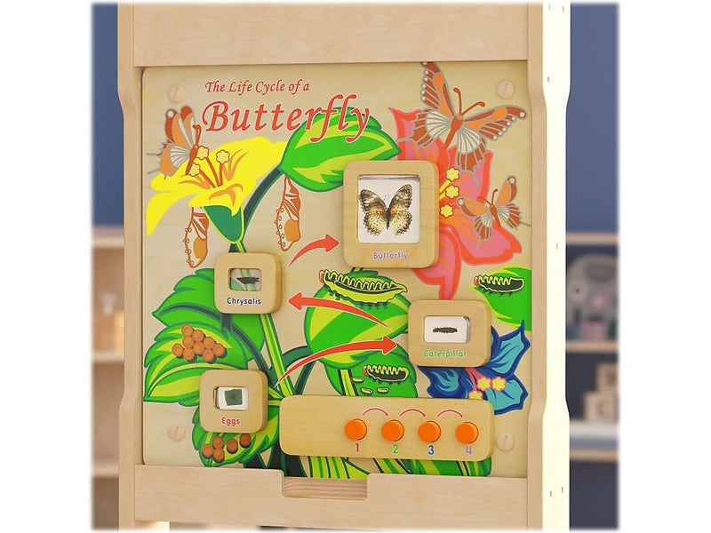 Flash Furniture Bright Beginnings Butterfly Life Cycle Wall Activity Board (MK-ME12883-GG)