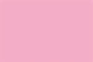 Color-Brite Sulphite 12" x 18" Construction Paper, Pink, 50 Sheets/Pack (5700PK)