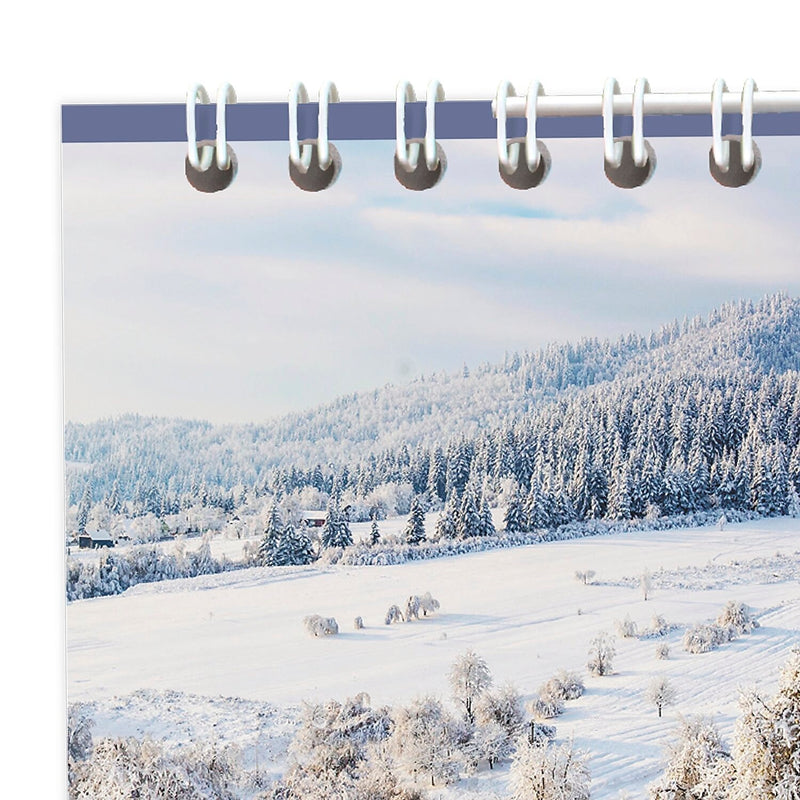 2026 AT-A-GLANCE Landscape 12" x 12" Monthly Wall Calendar (88200-26)