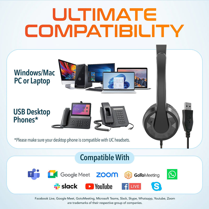 Delton 12Y Stereo On-Ear Computer Headset, USB Type-A (DWH12Y)
