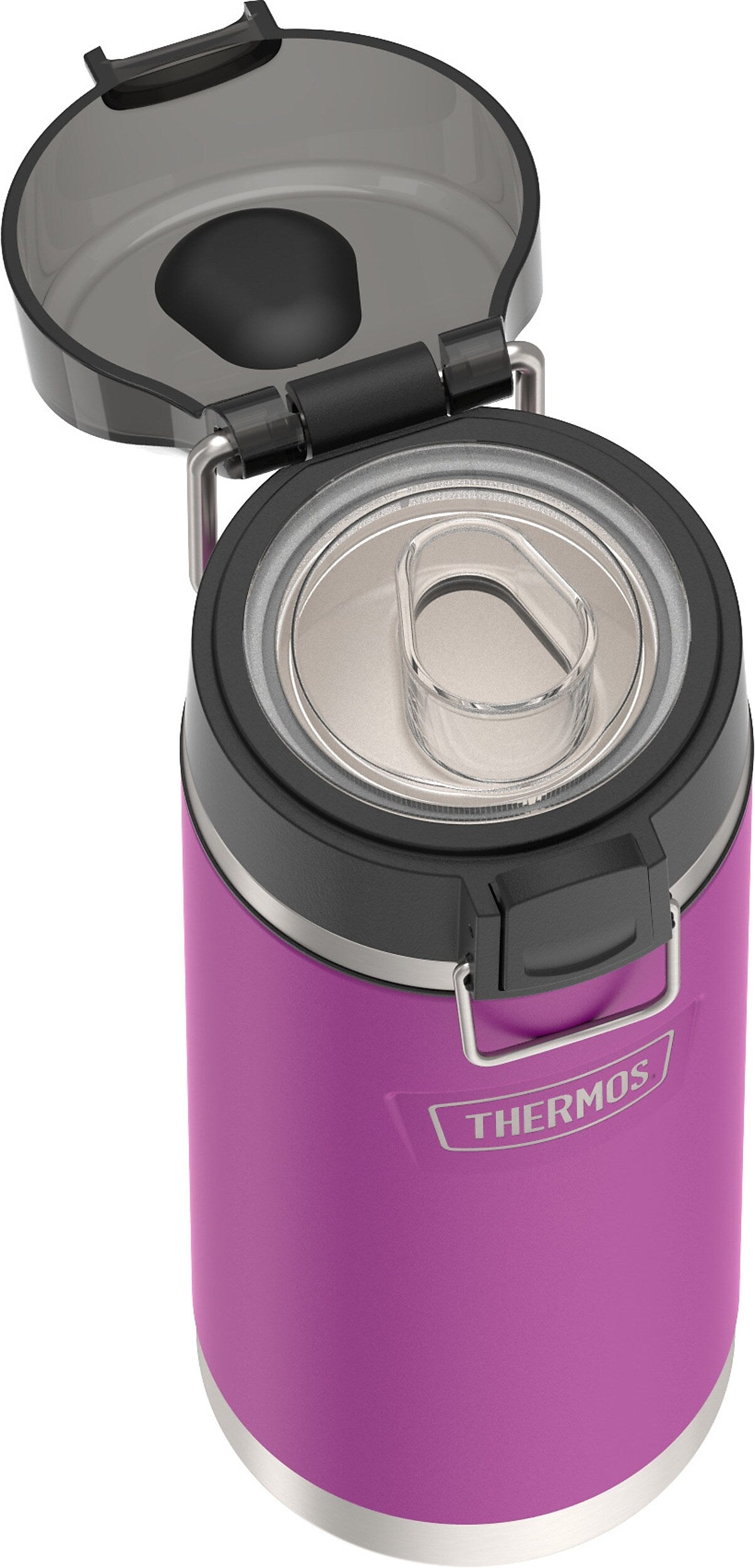Thermos Icon Stainless Steel Vacuum Insulated Water Bottle, 18 oz., Plum (EAIS2504PL4)