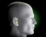 3M E-A-R Classic Uncorded Earplugs, 29 dB, Yellow, 200/Box (310-1001)