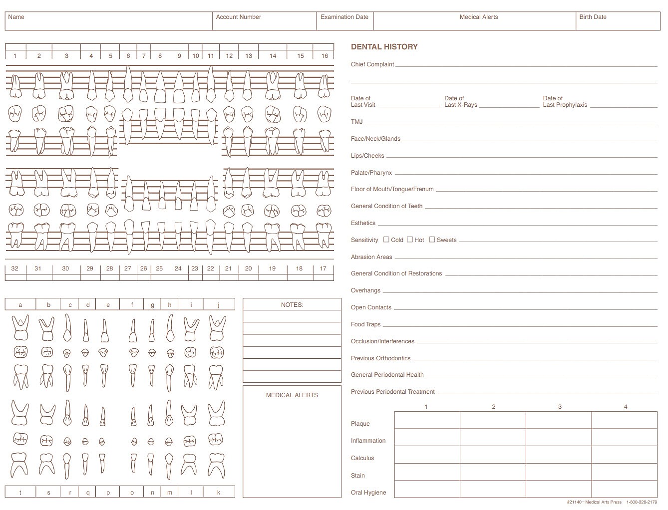 Medical Arts Press General Dental Exam Chart,  Ivory (21140RL)