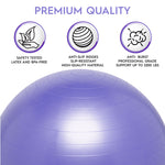 Bouncy Bands Balance Ball, 55cm, Purple (BBAWBS55PU)