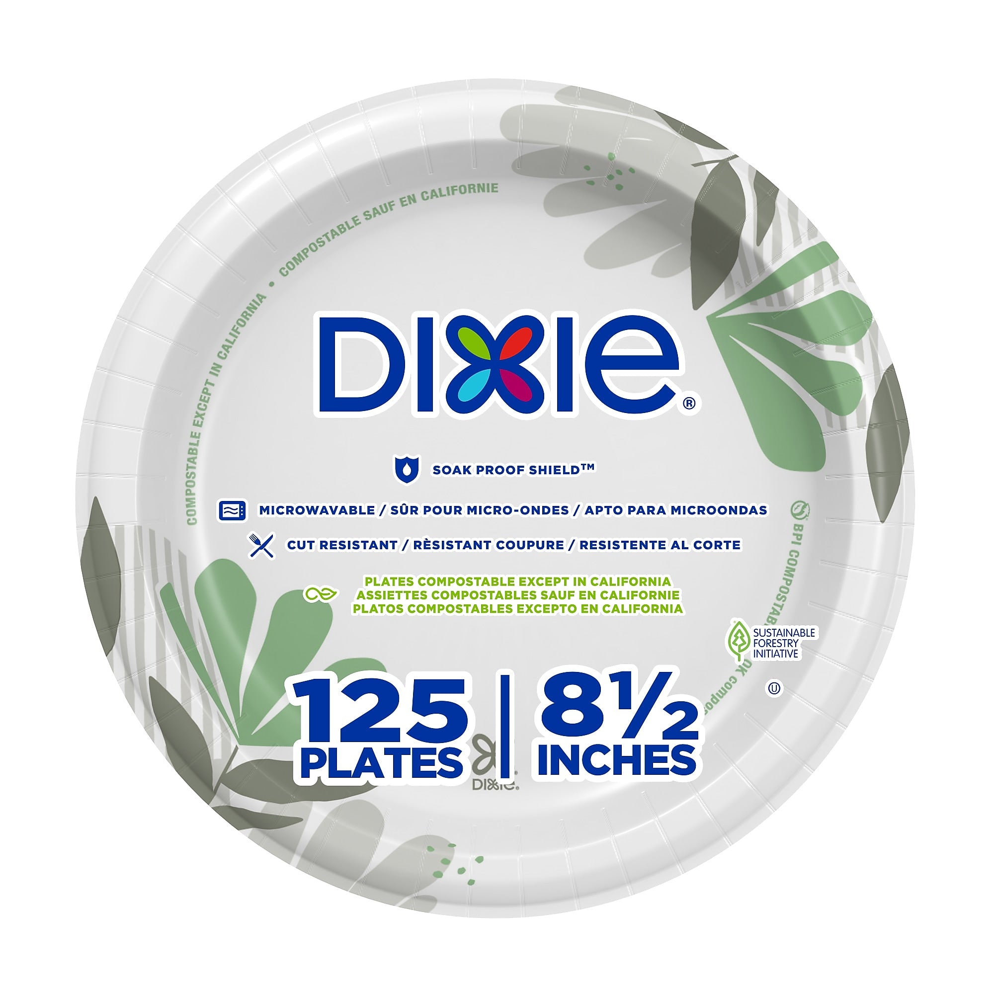 Dixie Pathways 8.5" Paper Plates, Multicolored, 125 Plates/Pack (DXEUX9WS)