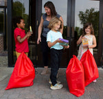 S&S Family Engagement Take Home Bags STEAM Grades 2-3, Assorted Colors (BK7052G002)
