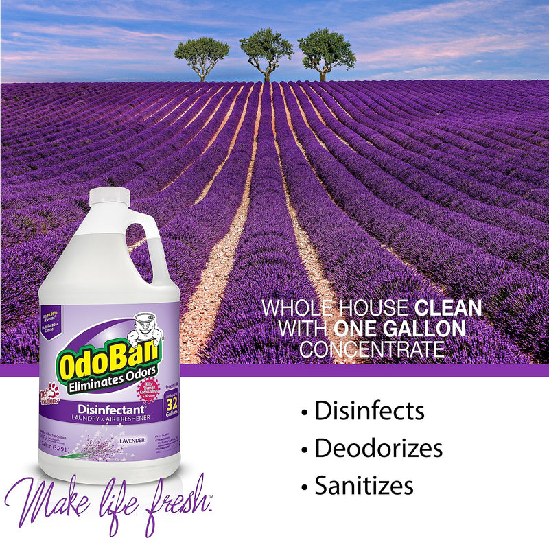 OdoBan Air Freshener & Deodorizer, Lavender Scent, 1 Gallon (911101-G4)