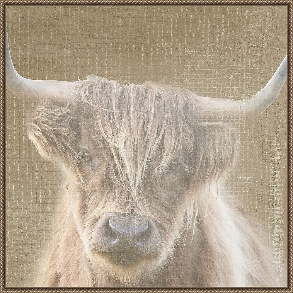 Amanti Art Soulful Bull by Patricia Pinto Framed Canvas Wall Art Print, 30" x 30" (A42678299508)
