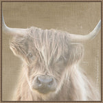 Amanti Art Soulful Bull by Patricia Pinto Framed Canvas Wall Art Print, 30" x 30" (A42678299508)