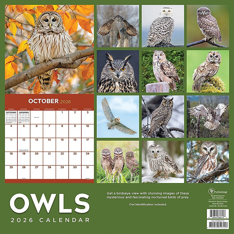 2026 TF Publishing Owls 12" x 12" Monthly Wall Calendar (26-1044)