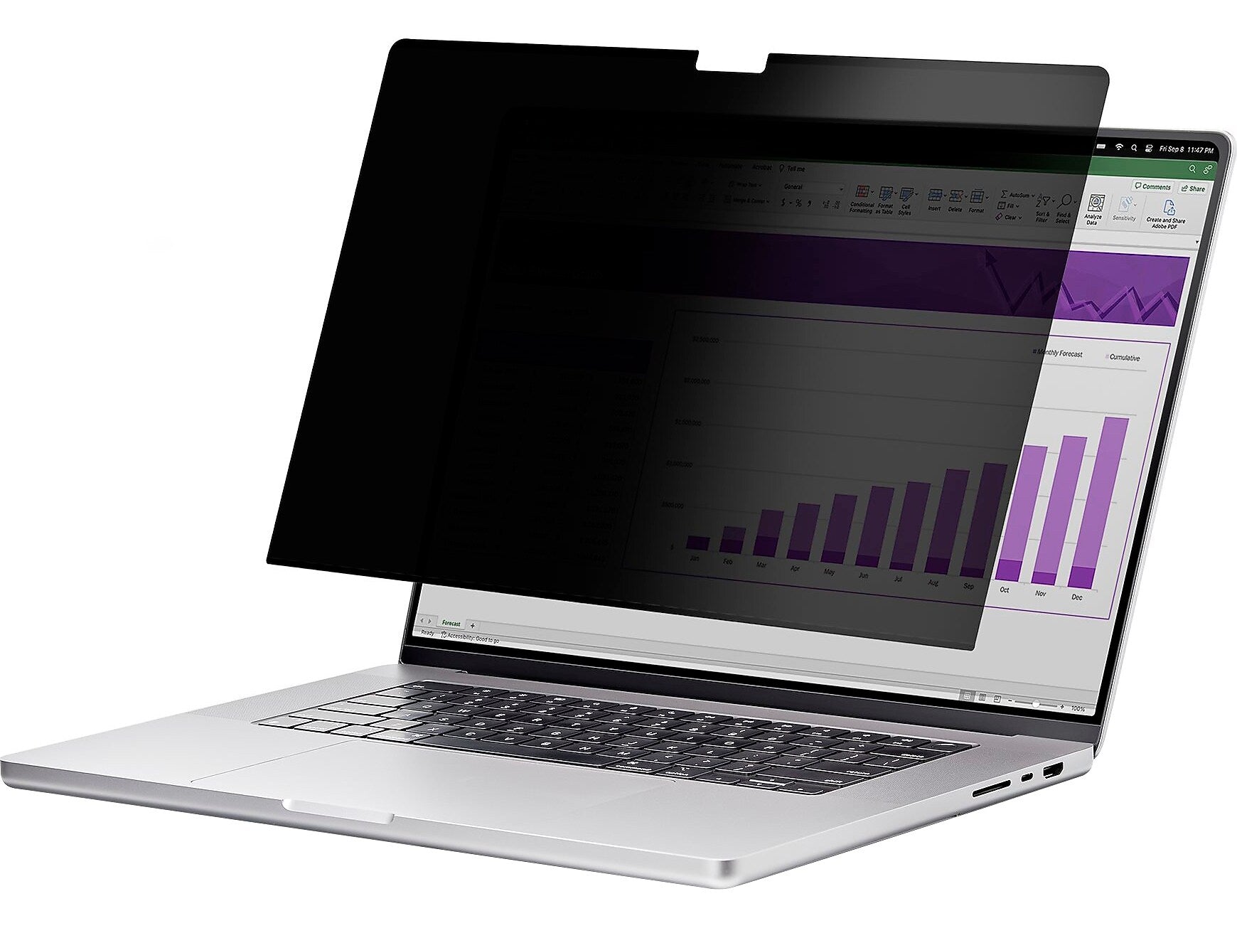 StarTech Anti-Glare Reversible Magnetic Privacy Filter/Protector for 13" MacBook Air M2/M3 Screen (13MAM-PRIVACY-SCREEN)