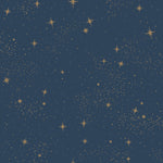 York Wallcoverings Upon A Star Peel and Stick Wallpaper (RMK11319WP)