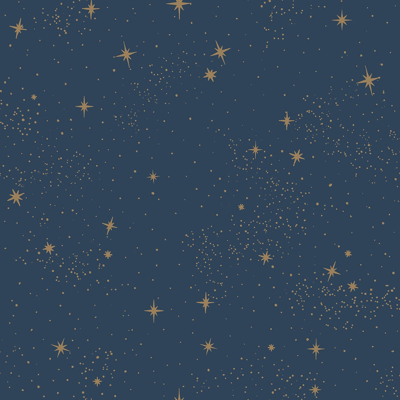 York Wallcoverings Upon A Star Peel and Stick Wallpaper (RMK11319WP)
