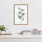 Amanti Art Tender Sprout I (Eucalyptus) by Eva Watts Framed Canvas Wall Art Print, 16" x 23" (A42675040760)
