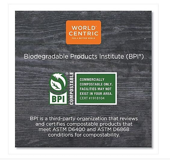 World Centric TPLA Compostable Cutlery, Soup Spoon, White, 750/Carton (WORSOPSI)