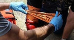 MobileAid BleedStop Immediate Response Bleeding Control & Gunshot Wound 150-Person Bleeding Control Kit (32710)