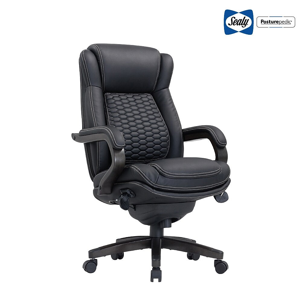 Sealy Ransford Executive Big & Tall Chair (67989)