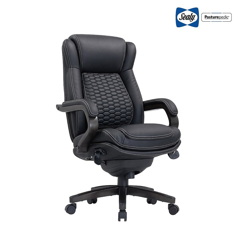 Sealy Ransford Executive Big & Tall Chair (67989)