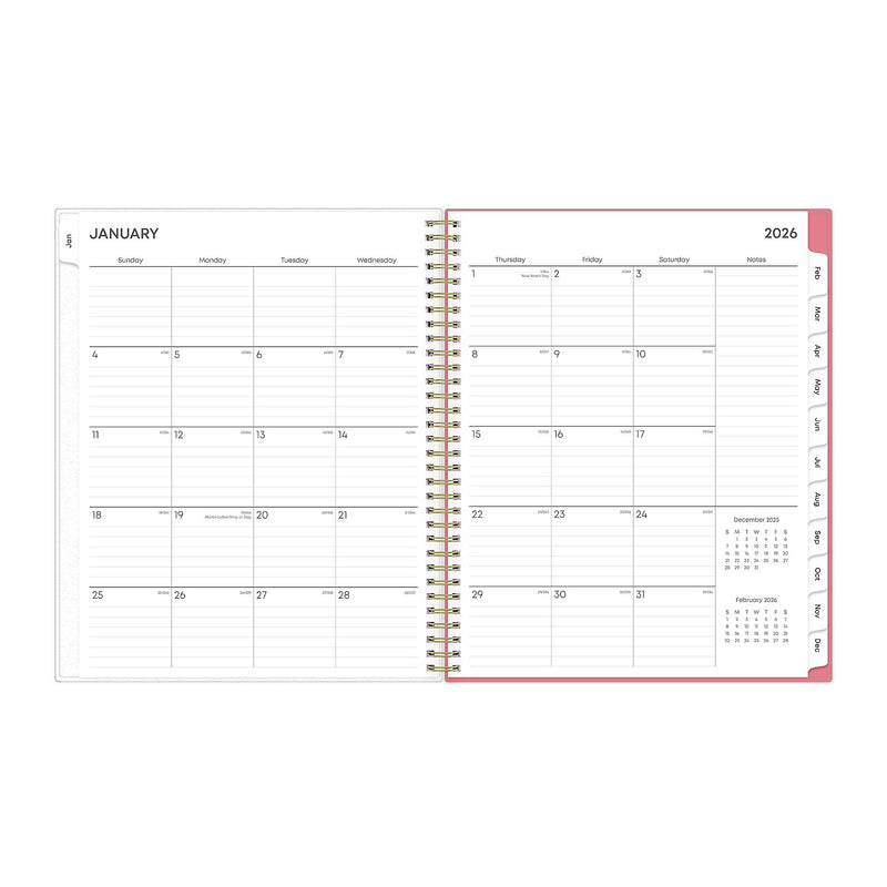 2026 Blue Sky Fly By 8.5" x 11"  Weekly & Monthly Planner, Plastic Cover, Multicolored (140195-26)