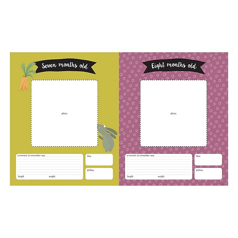 TF Publishing Baby 1st year 9" x 11" Undated Planner, Paperboard Cover, Multicolored (99-1022)