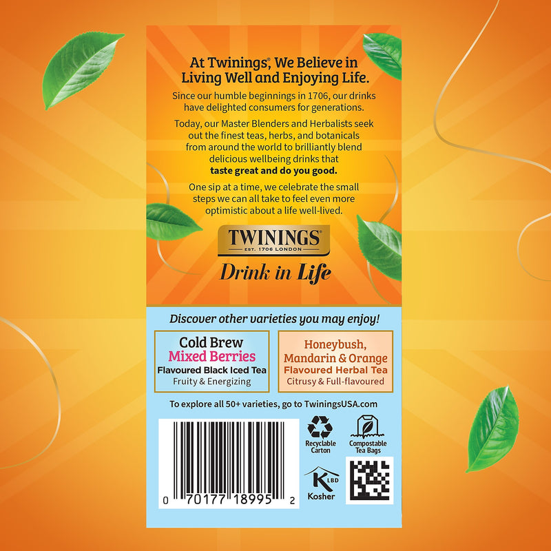 Twinings Iced Cold Brewed Peach Black Tea Bags, 20/Box (F10055)