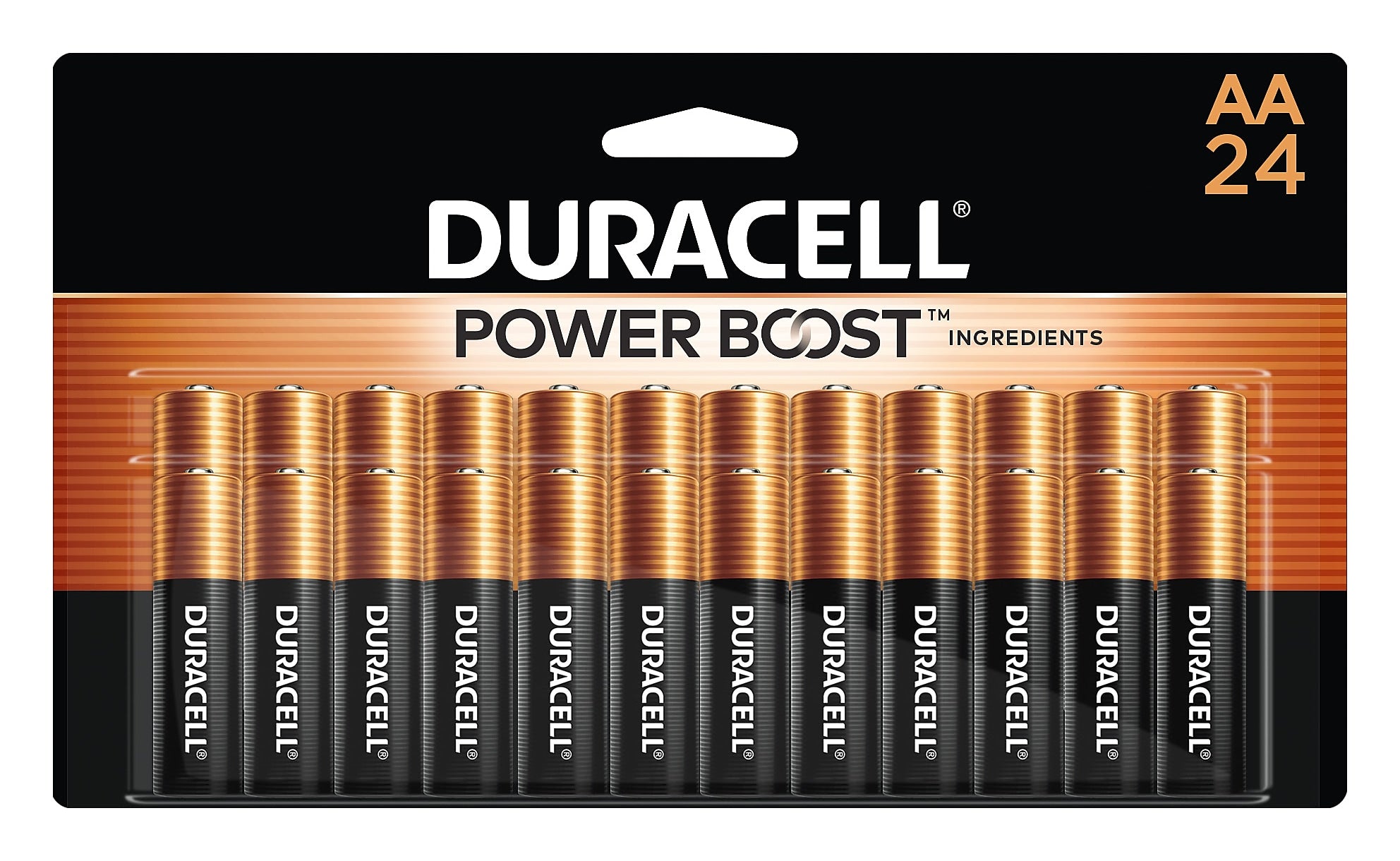 Duracell Coppertop AA Alkaline Battery, 24/Pack (MN1500B240001)