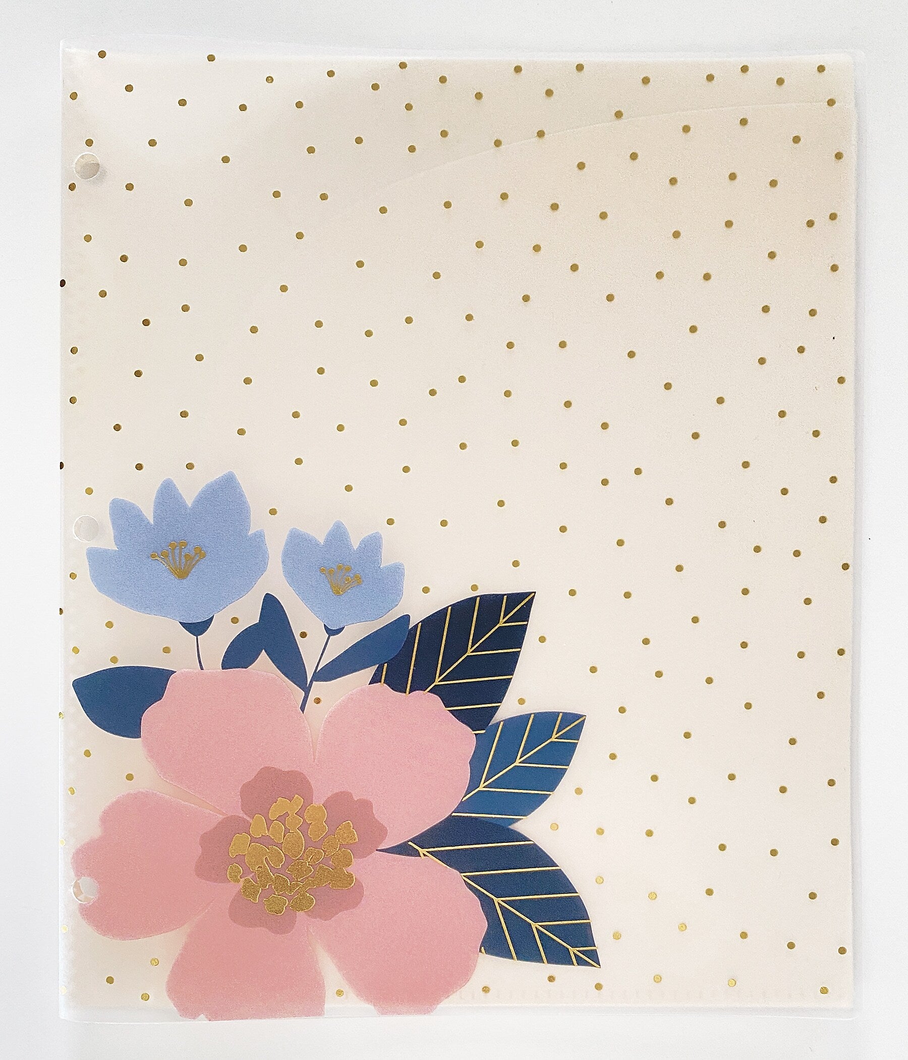 Carolina Pad Keep It In Line Glossy 3-Hole Punched 6 Pocket Plastic Portfolio Folder, Assorted Colors (93039)
