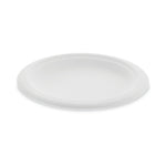 PLATE,EARTHCHOICE 6",NT