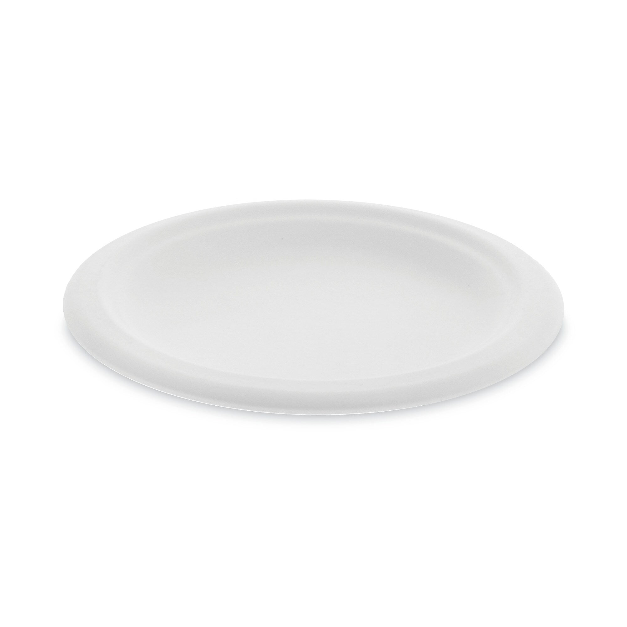 PLATE,EARTHCHOICE 6",NT