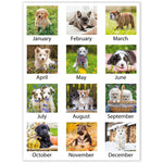 2026 AT-A-GLANCE Puppies 21.75" x 17" Monthly Desk Pad Calendar (DMD166-32-26)
