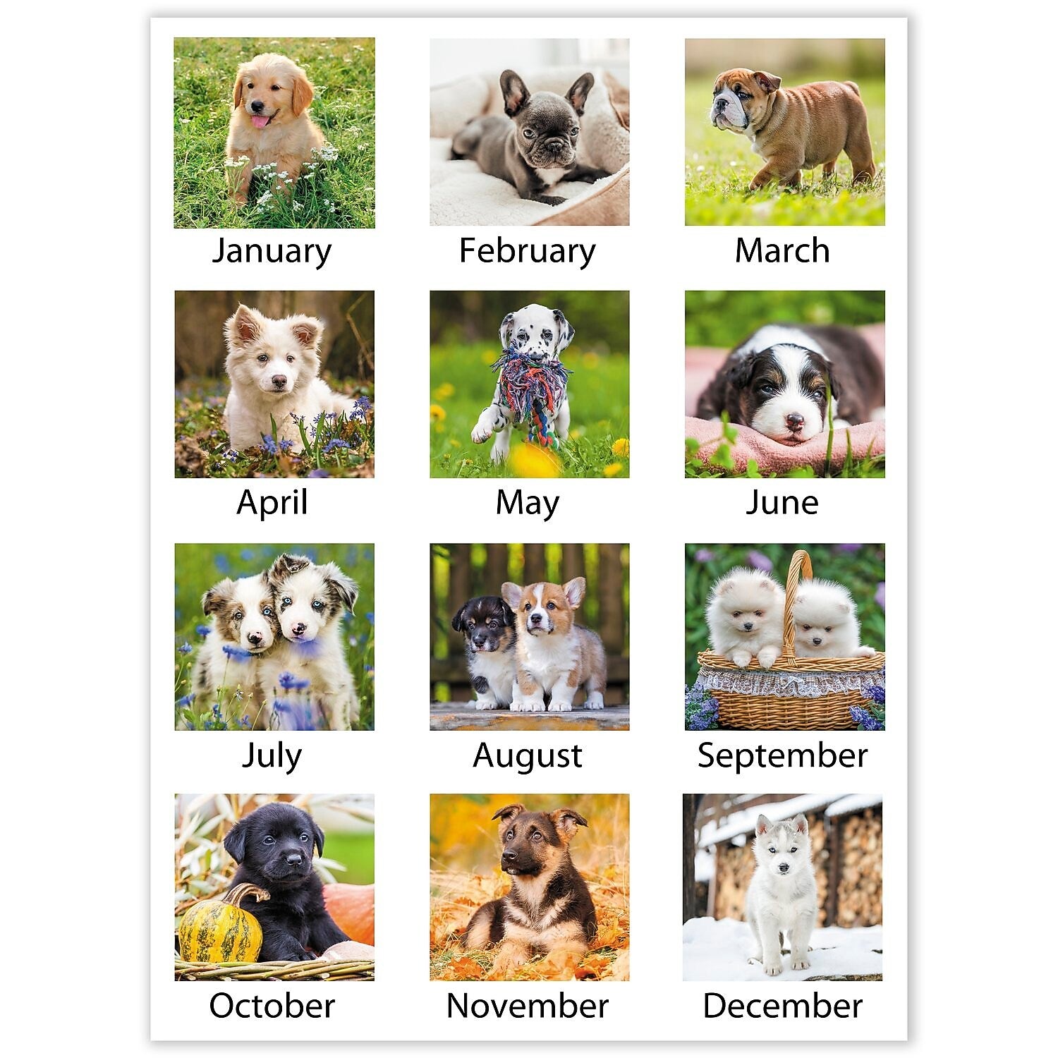 2026 AT-A-GLANCE Puppies 21.75" x 17" Monthly Desk Pad Calendar (DMD166-32-26)